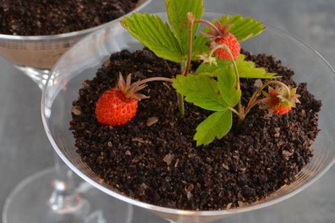 recipe image Čokoládová hlína